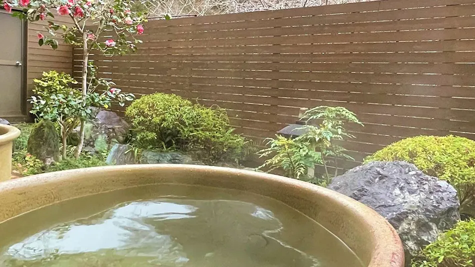 Dochu Land Shin Onsen
