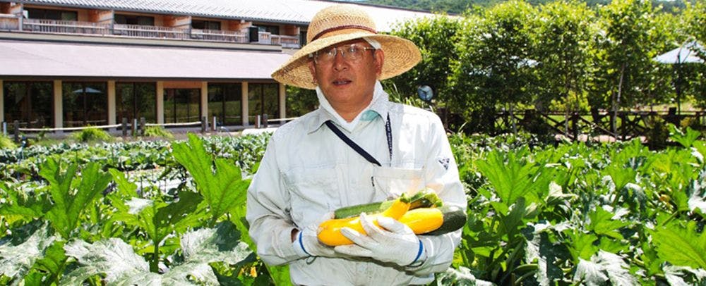 สวนผักส่วนตัว