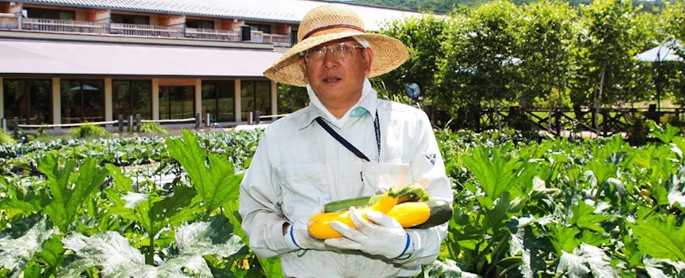 สวนผักส่วนตัว