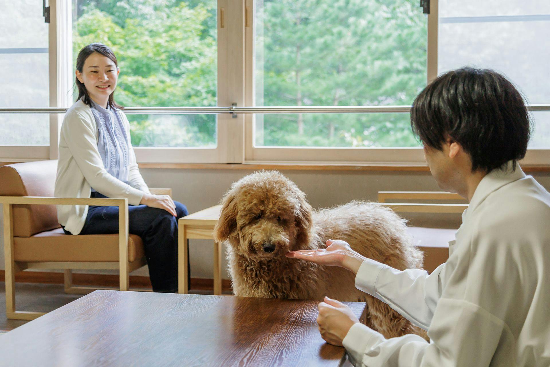 객실　반려동물과 함께 머무는 이미지