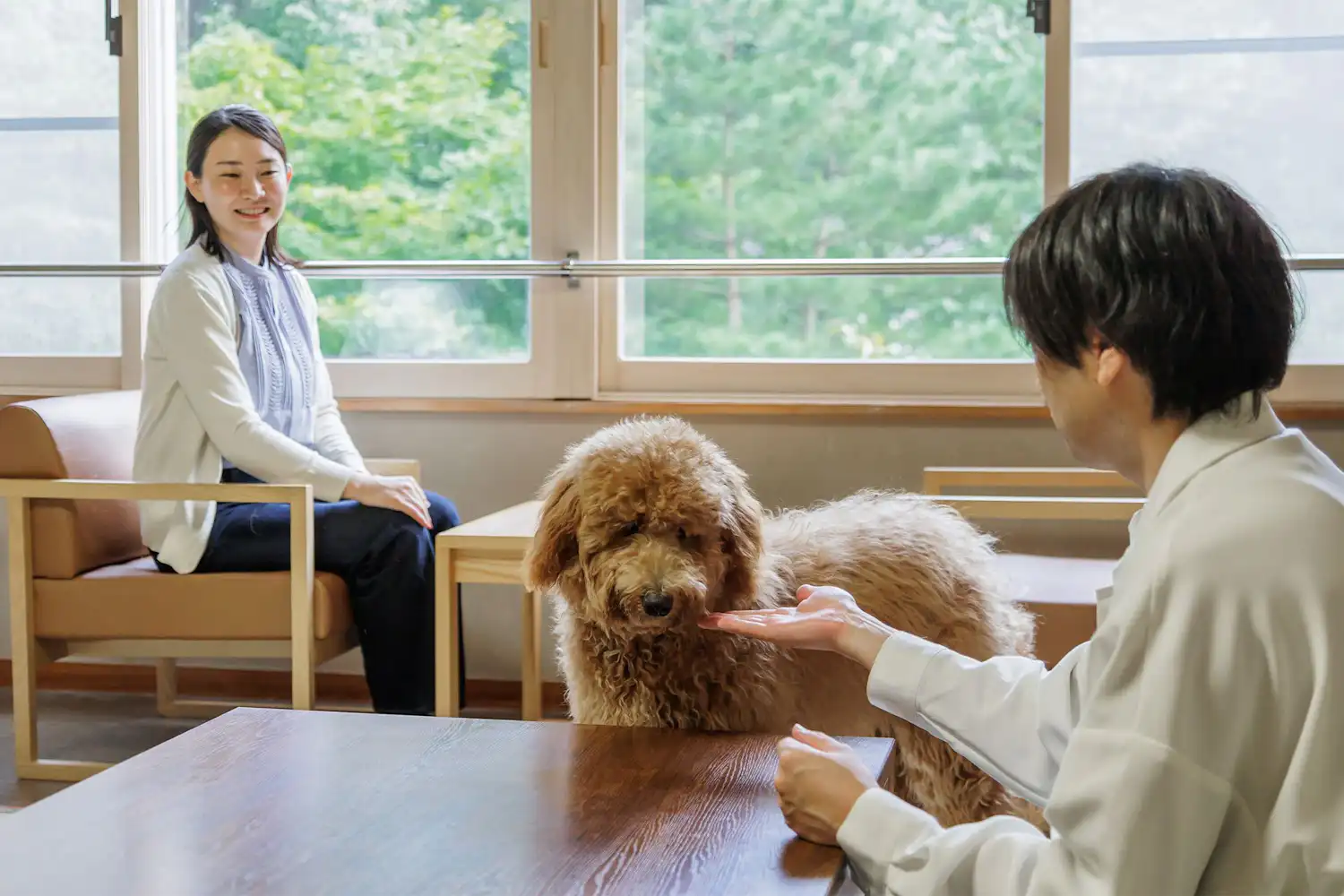 객실 반려동물과 함께 머무는 이미지