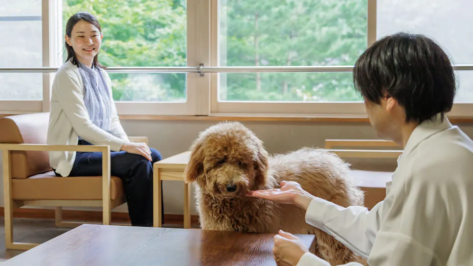 Wan Wan Paradise Premier Shiobara