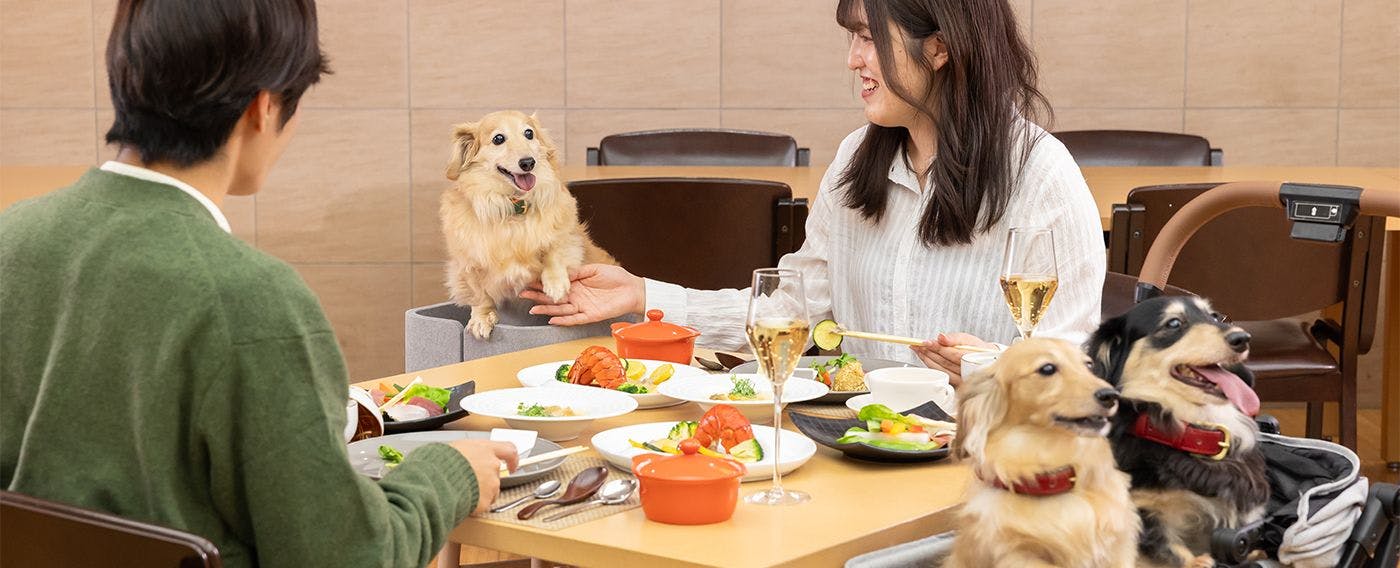 레스토랑에서 반려견과 함께 식사하는 모습 이미지