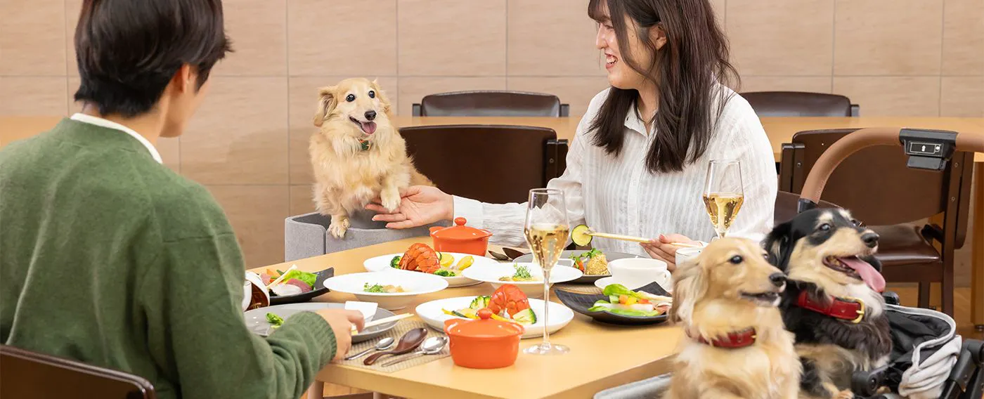 레스토랑에서 반려견과 함께 식사하는 모습 이미지