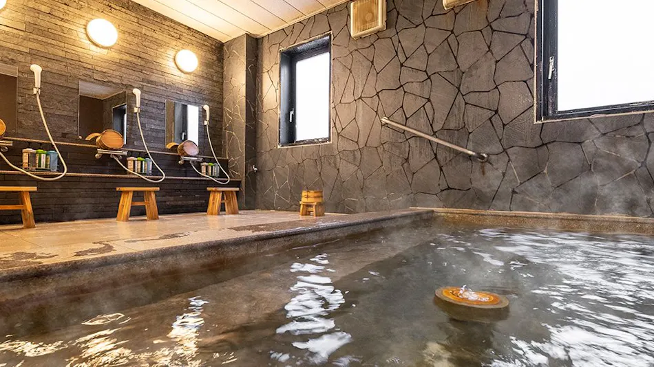 Natural Hot Spring Mairi no Yu Super Hotel Mito