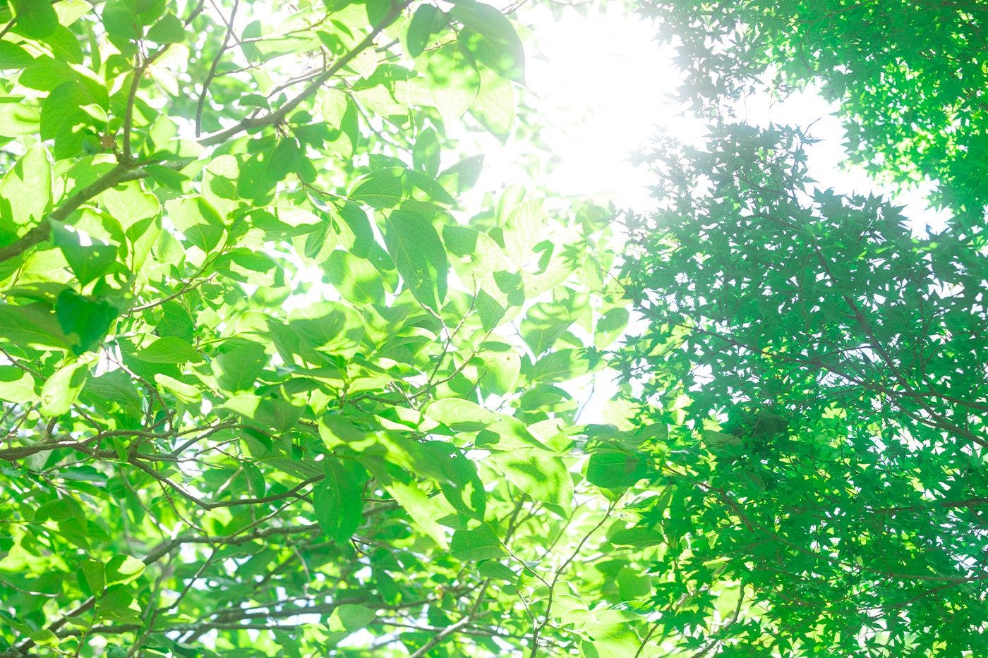 ทิวทัศน์ธรรมชาติอันยิ่งใหญ่