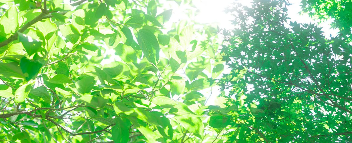 ทิวทัศน์ธรรมชาติอันยิ่งใหญ่