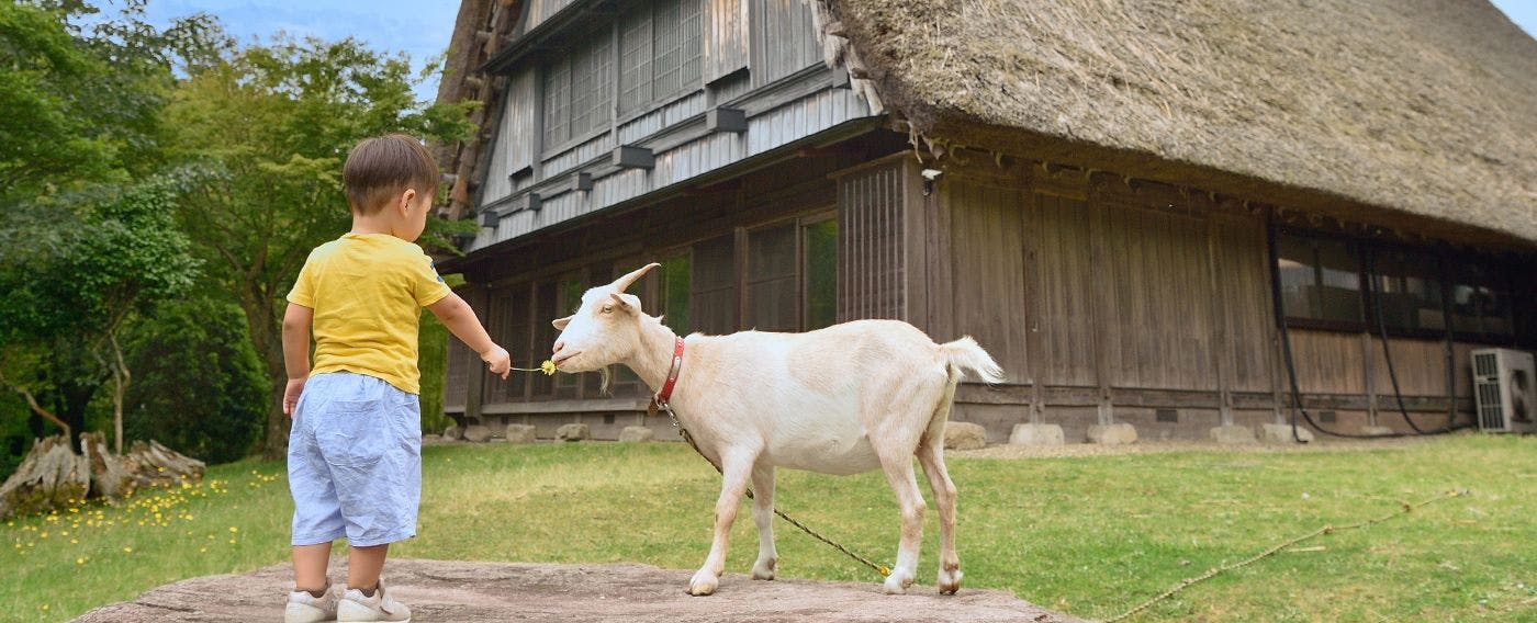 ทัศนียภาพของธรรมชาติอันยิ่งใหญ่