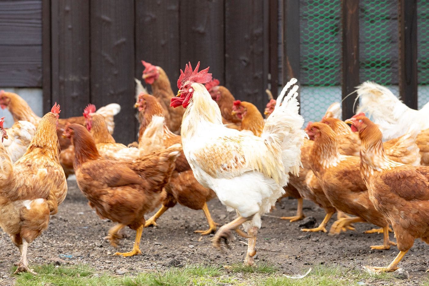 ทิวทัศน์ธรรมชาติอันยิ่งใหญ่