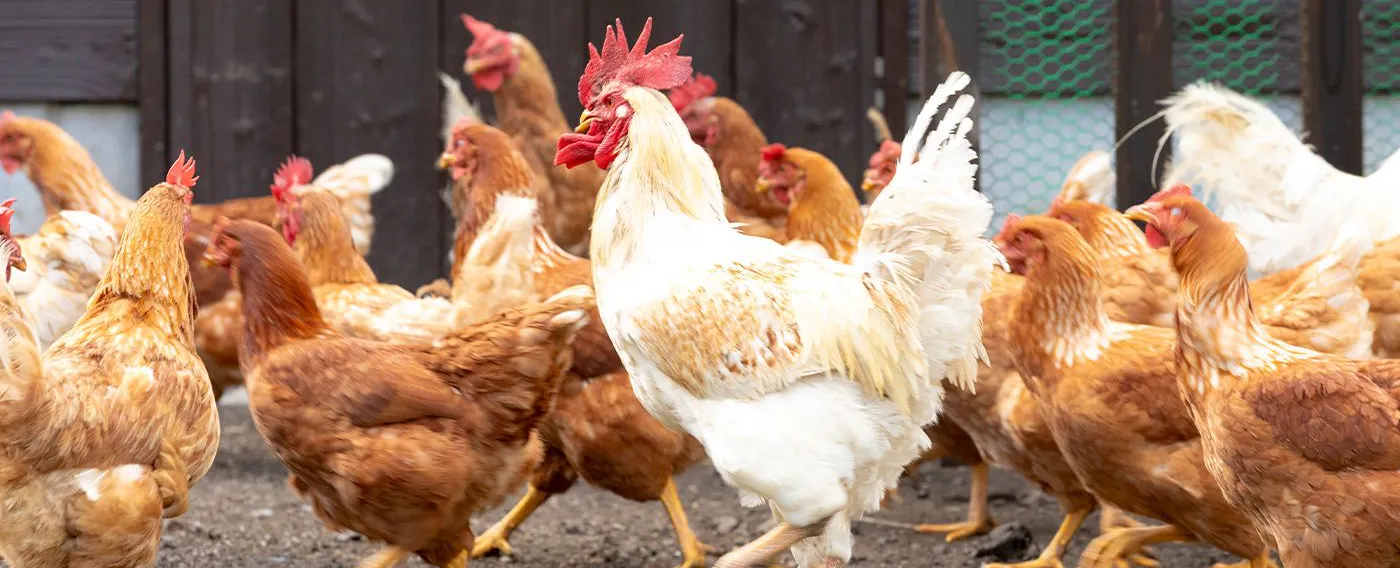 ทิวทัศน์ธรรมชาติอันยิ่งใหญ่