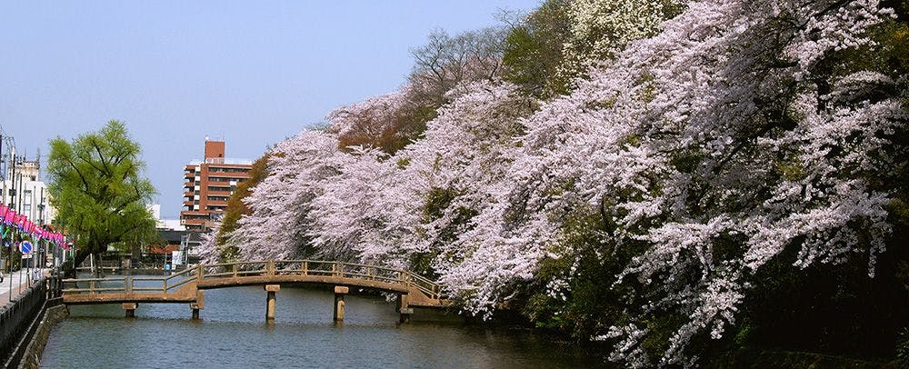 สวนปราสาทเก่าทาคาโอกะ