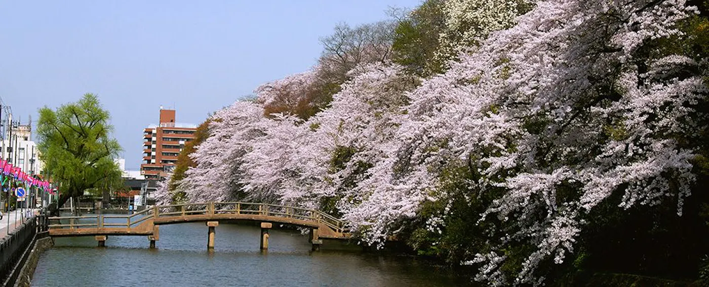 สวนปราสาทเก่าทาคาโอกะ