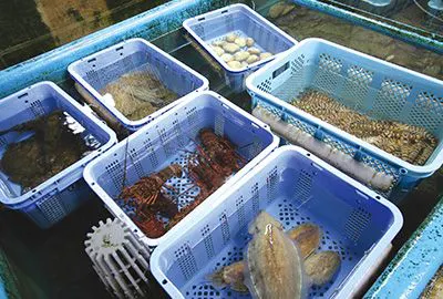 ตลาดท้องถิ่น