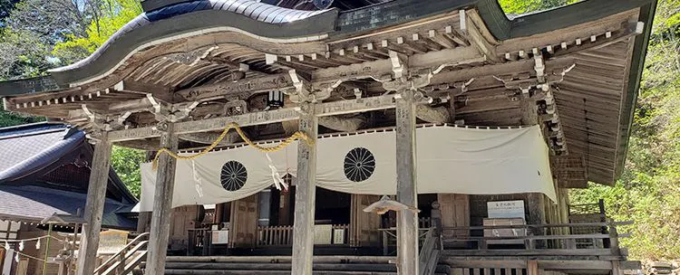 a_tpc_nakasya
