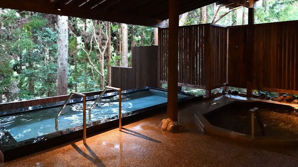 Yunogo Onsen Hotel Yunomori