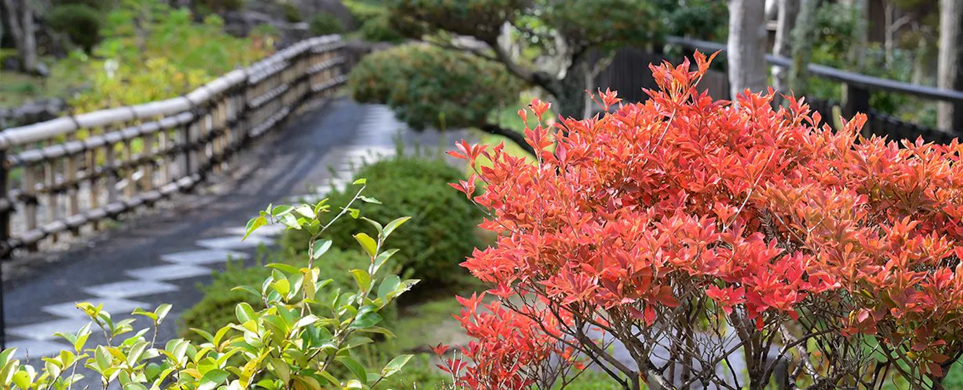Taman Jepang dengan daun musim gugur yang memerah