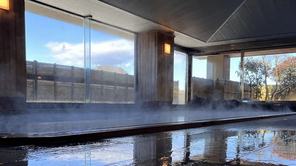 Yumeguri no Yado Shuzenji Onsen Katsuragawa