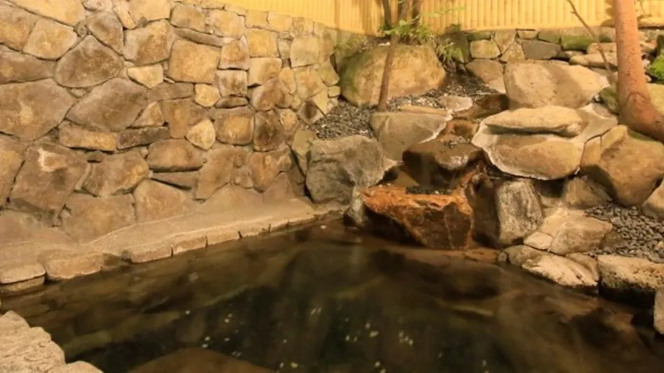 Kami-Suwa Station Hotel