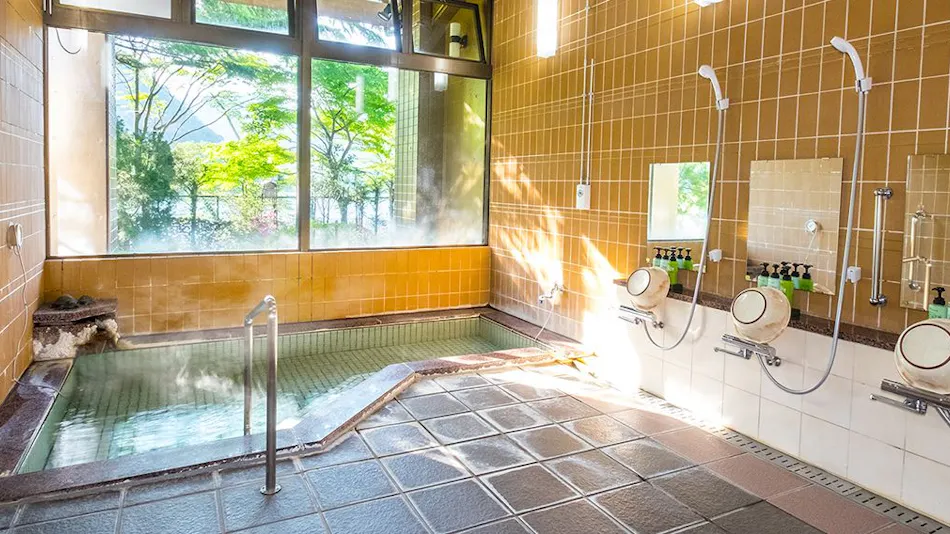 Forest Resort Sarugakyo Seikoso