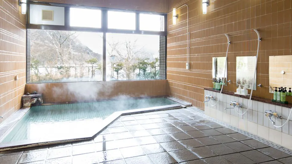 Forest Resort Sarugakyo Seikoso