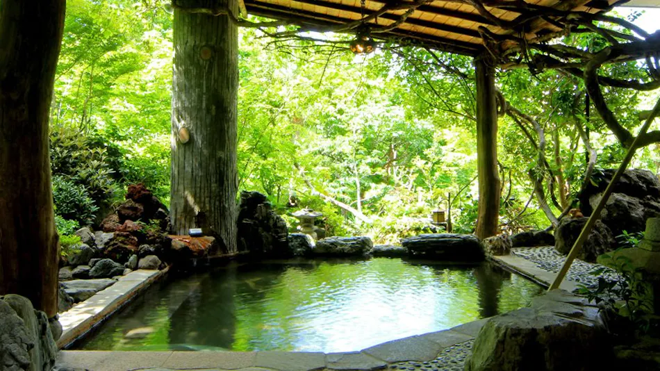 Shinkashi Onsen Gohousou