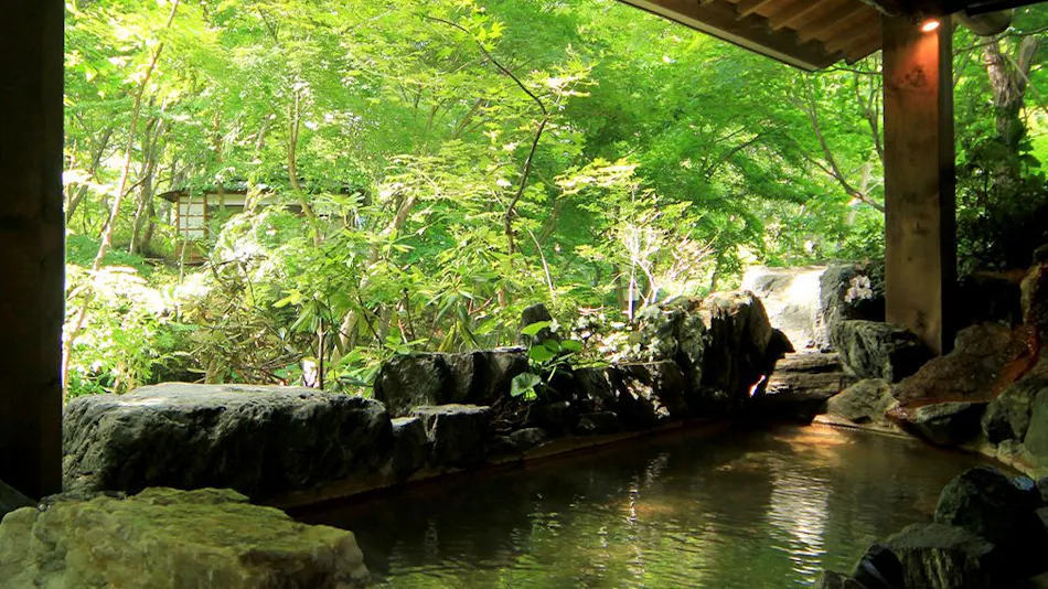 Shinkashi Onsen Gohousou