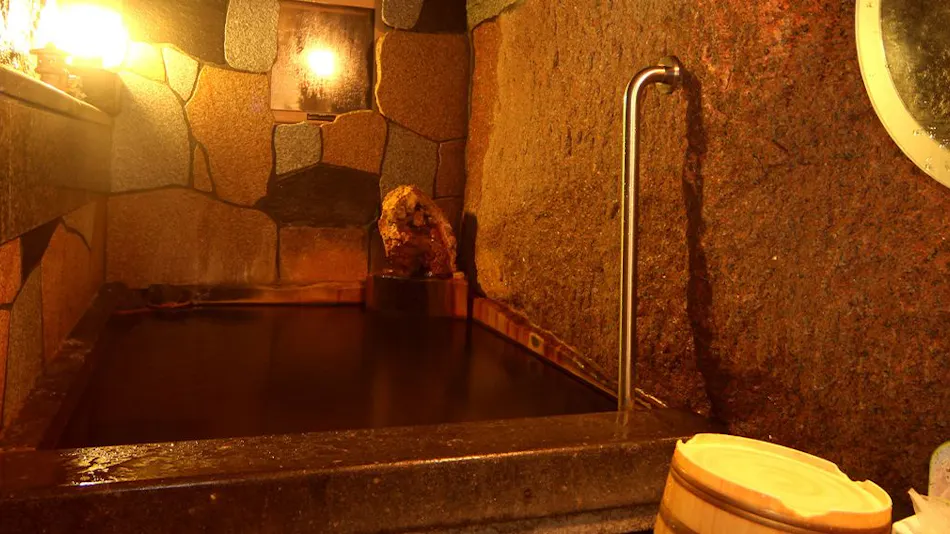 Shinkashi Onsen Gohousou