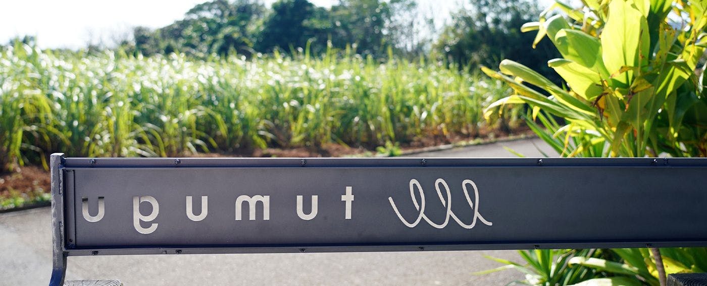 ป้ายบอกทาง