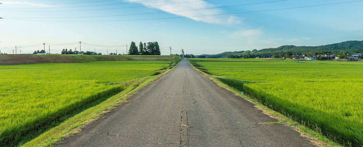 ภาพตัวอย่างเส้นทางปั่นจักรยาน