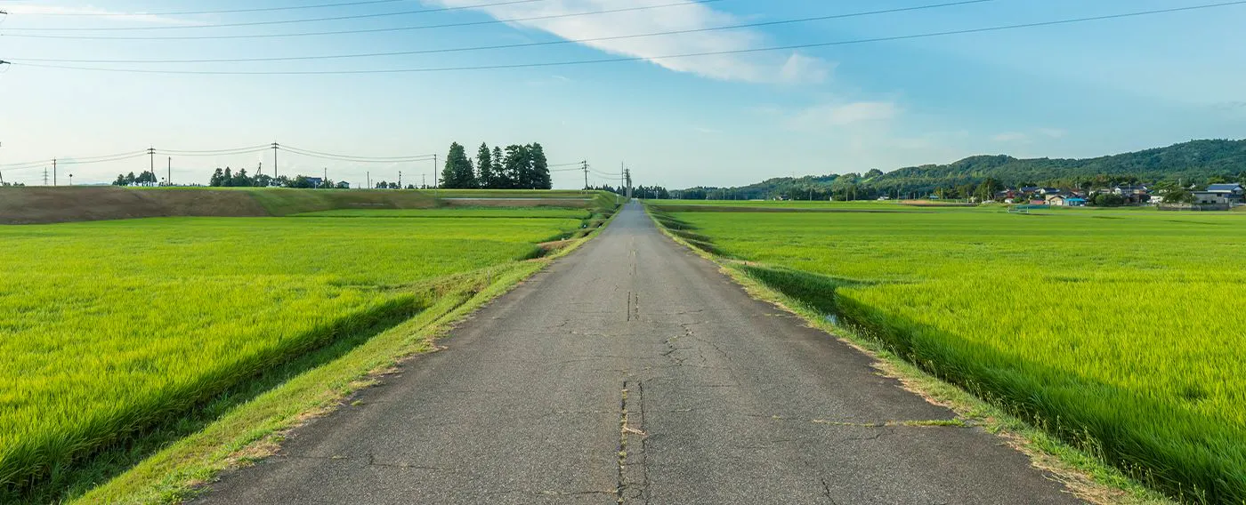 ภาพตัวอย่างเส้นทางปั่นจักรยาน