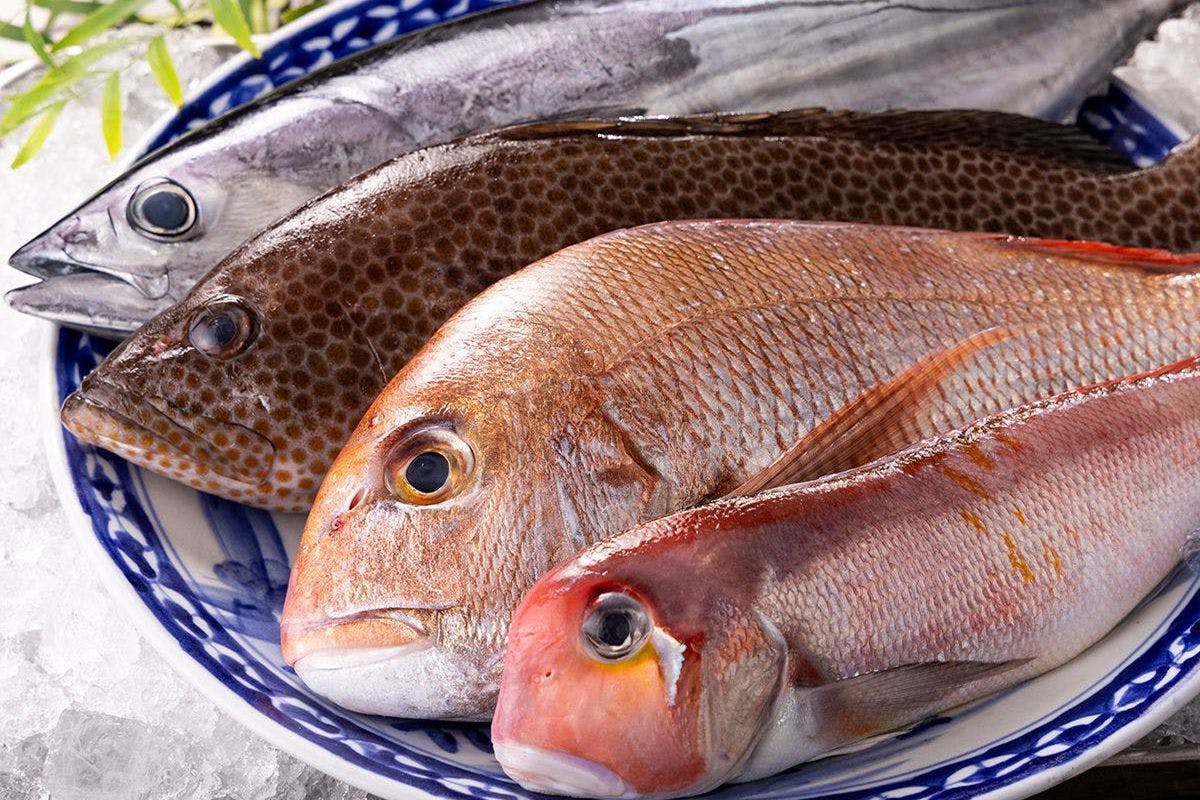 วัตถุดิบอาหารทะเล