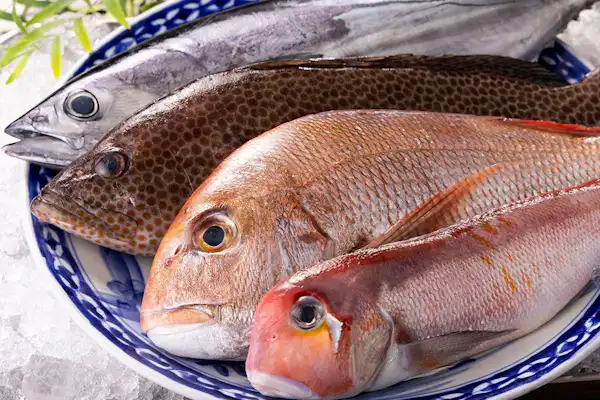 วัตถุดิบอาหารทะเล