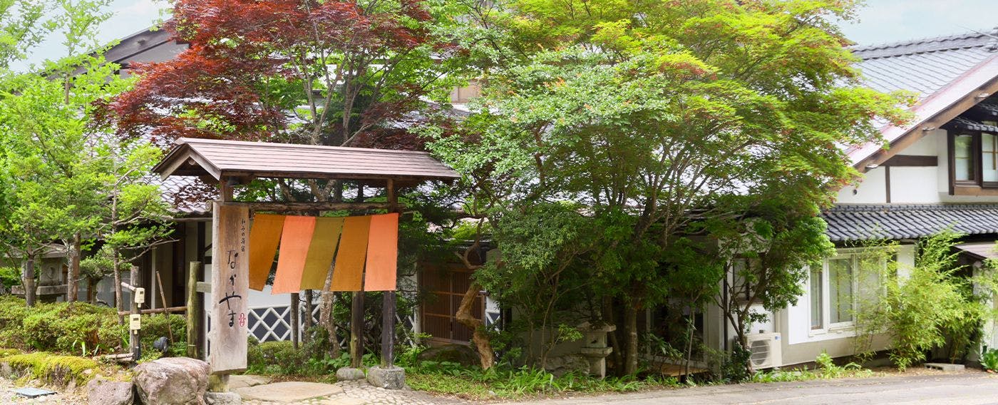 รูปลักษณ์ภายนอก