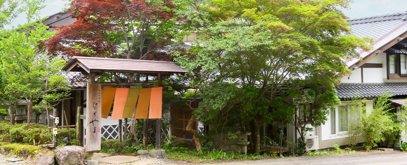 รูปลักษณ์ภายนอก