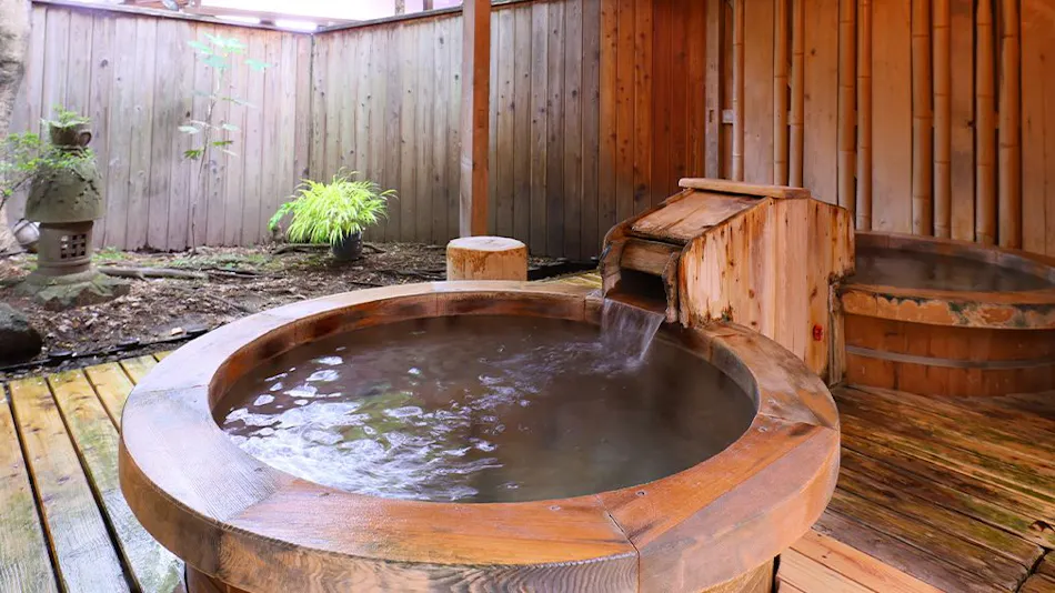 Hayataro Onsen Nagomi no Yuyado Nakayama