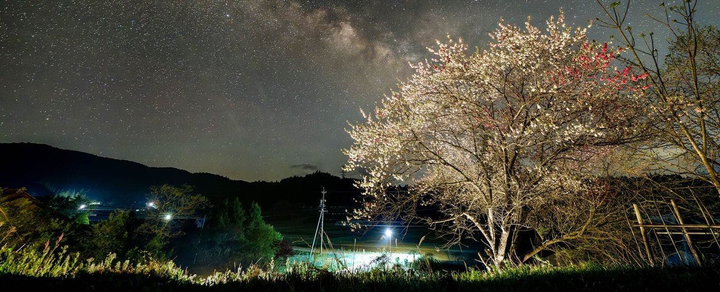 ท้องฟ้าที่เต็มไปด้วยดวงดาว