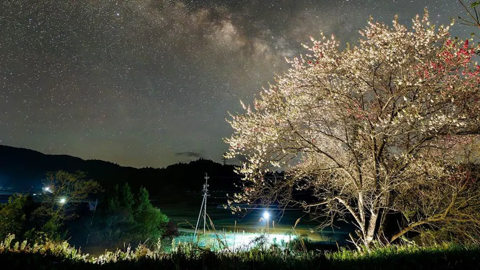 Terawaki Annex KAKOUBA