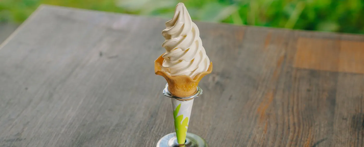 ไอศกรีมซอฟต์ครีม