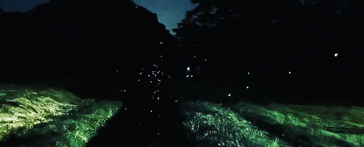 บริเวณใกล้เคียง