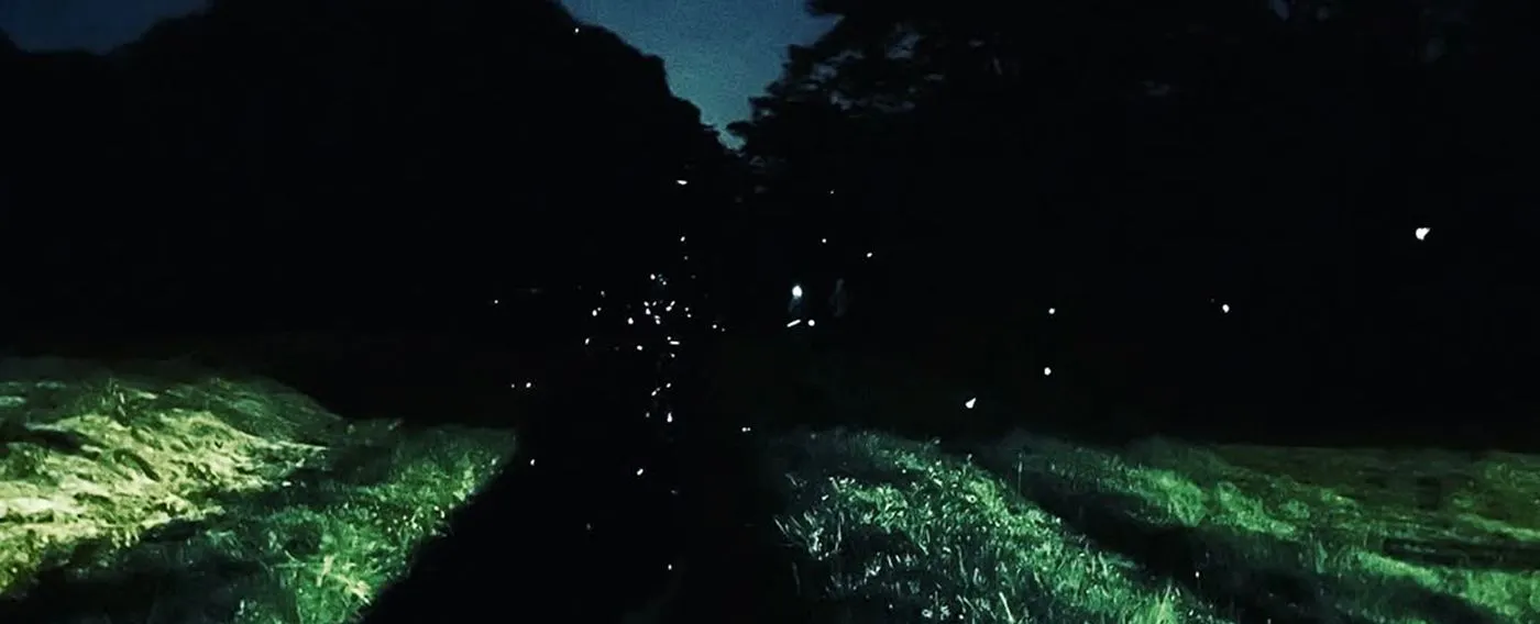 บริเวณใกล้เคียง