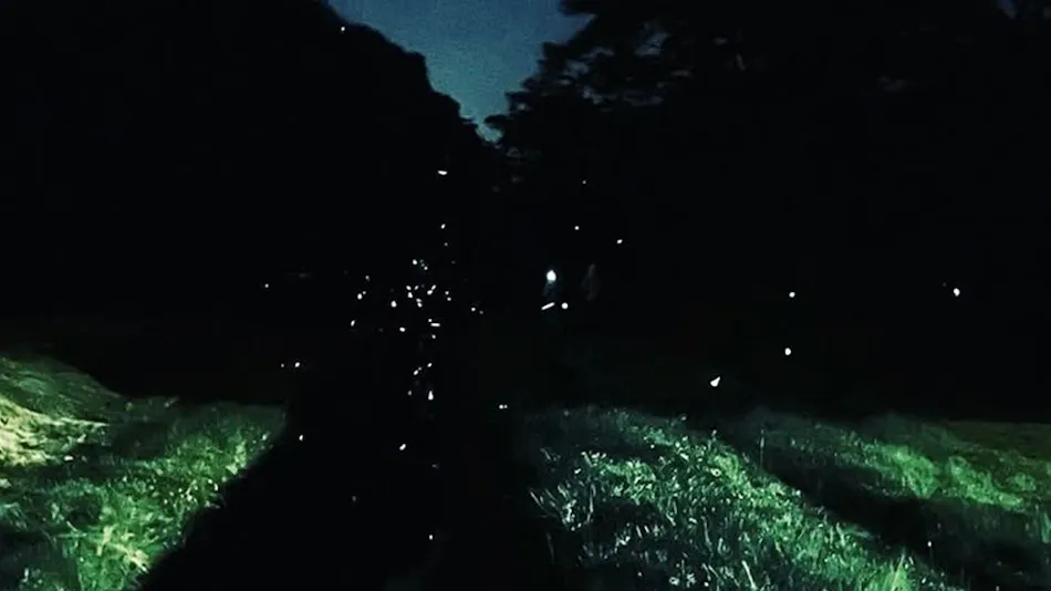 TABI-YADO Bunsuirei