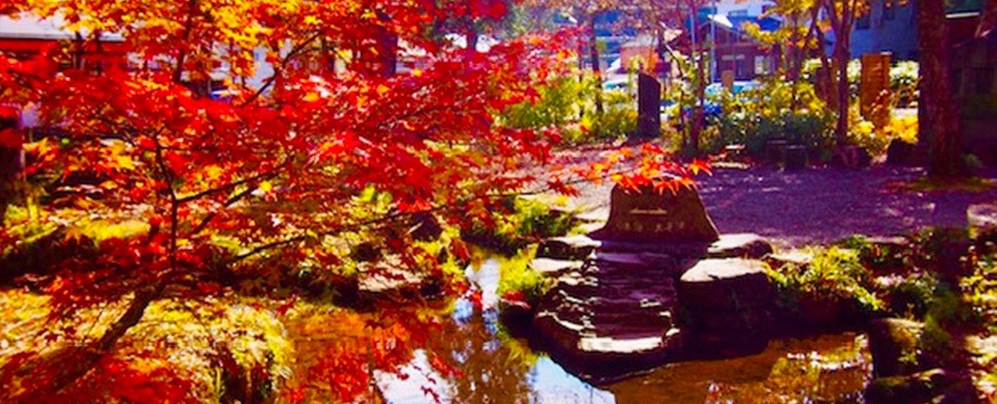 บริเวณโดยรอบในฤดูใบไม้ร่วง