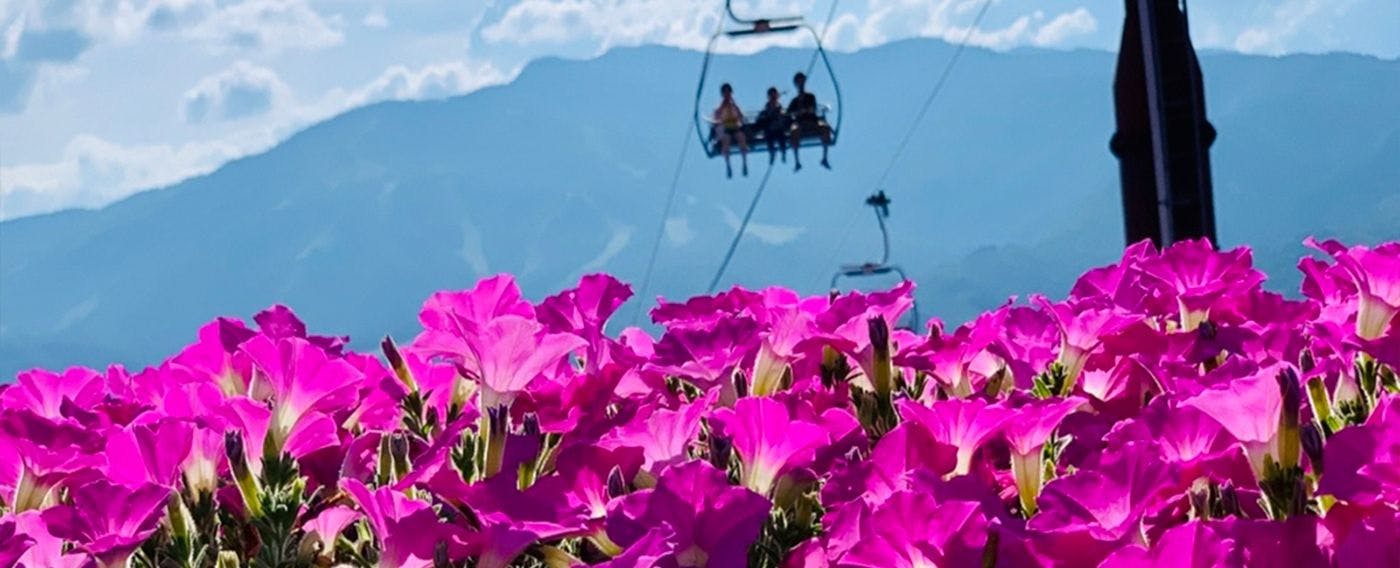 กรีนซีซั่น กิจกรรมบนที่ราบสูง