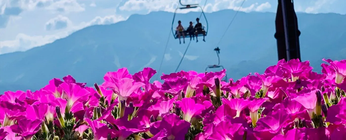 กรีนซีซั่น กิจกรรมบนที่ราบสูง