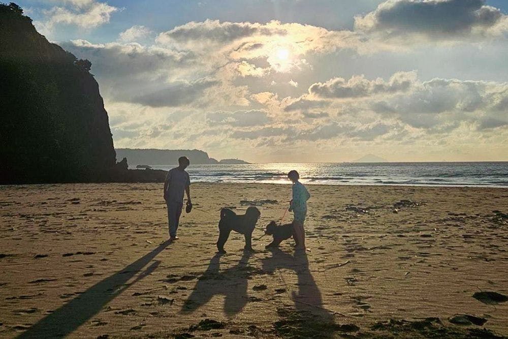 เข้าพักพร้อมสัตว์เลี้ยงแสนรัก