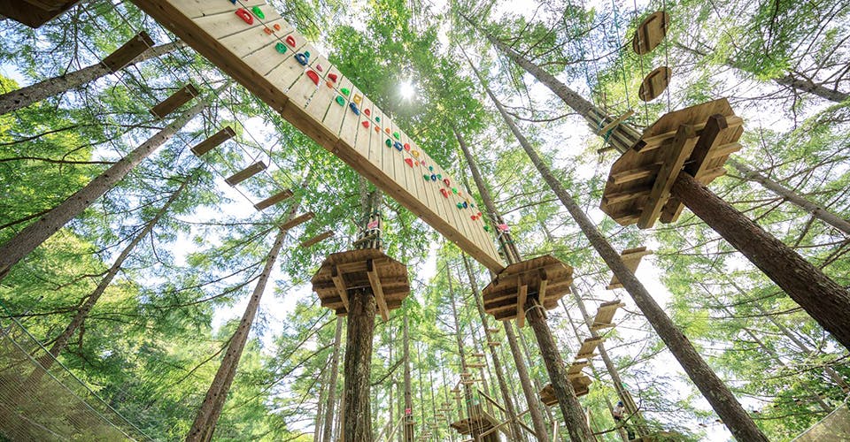 フォレストアドベンチャー蓼科