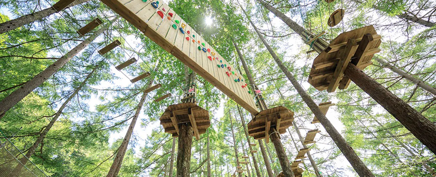 フォレストアドベンチャー蓼科