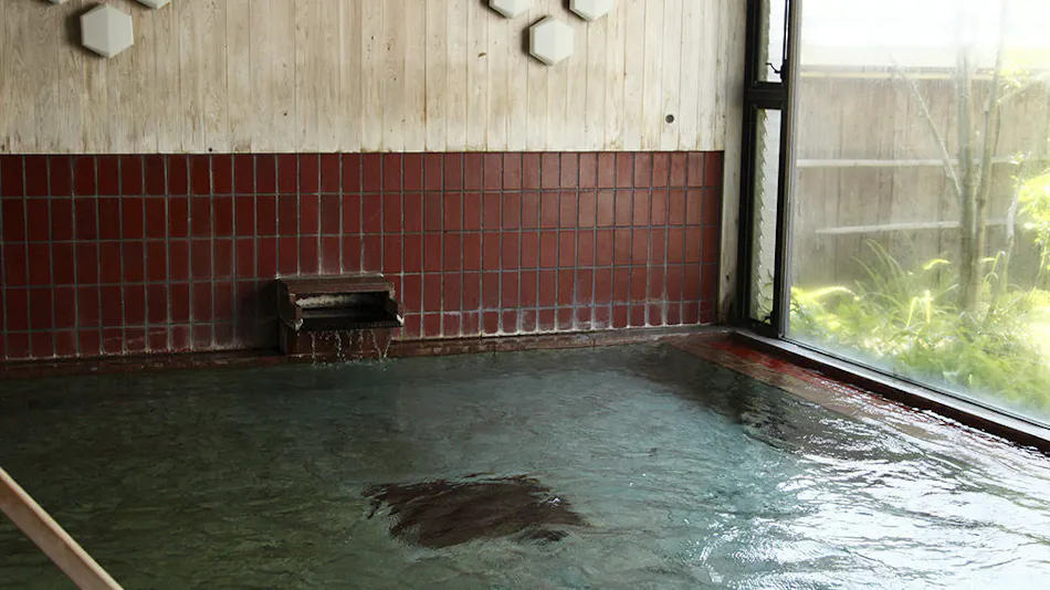 Sakahijiri Gyokushoen (formerly Gyokushoen Arai)