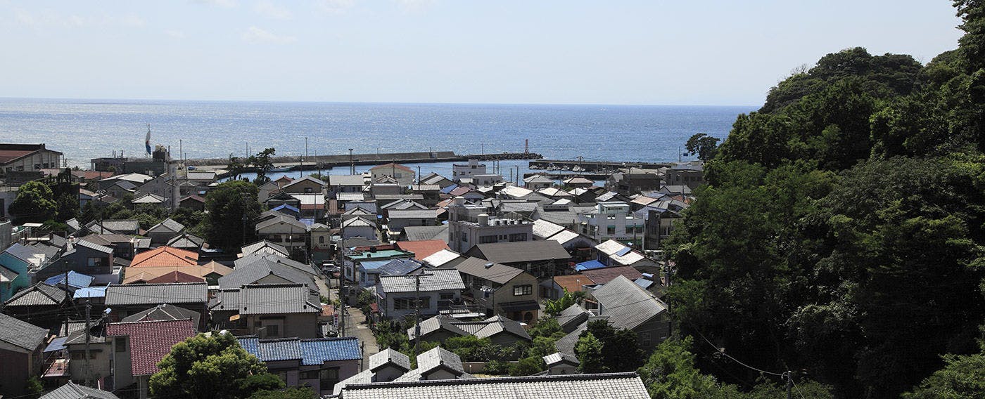 坂聖・玉樟園（旧：玉樟園新井）