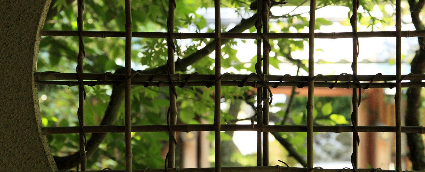 坂聖・玉樟園（旧：玉樟園新井）